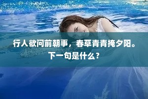 行人欲问前朝事，春草青青掩夕阳。下一句是什么？