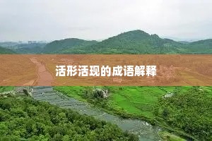 活形活现的成语解释