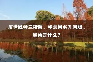 历世既经三折臂，坐愁何必九回肠。全诗是什么？