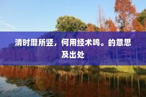 清时靡所竖，何用经术鸣。的意思及出处