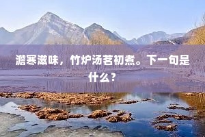 澹寒滋味，竹炉汤茗初煮。下一句是什么？