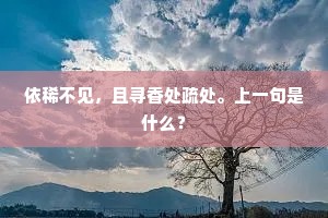依稀不见，且寻香处疏处。上一句是什么？