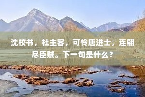 沈校书，杜主客，可怜唐进士，连翩尽臣贼。下一句是什么？