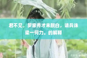 君不见，罗家秀才未脱白，请兵诛梁一何力。的解释