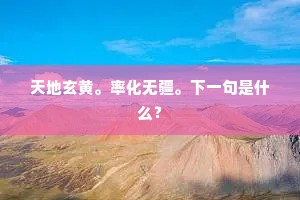 天地玄黄。率化无疆。下一句是什么？