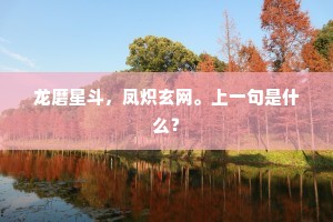 龙磨星斗，凤炽玄网。上一句是什么？