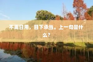 不离日用，目下承当。上一句是什么？