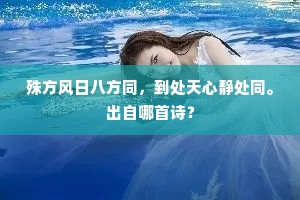 殊方风日八方同，到处天心静处同。出自哪首诗？