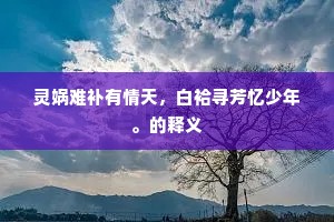 灵娲难补有情天，白袷寻芳忆少年。的释义