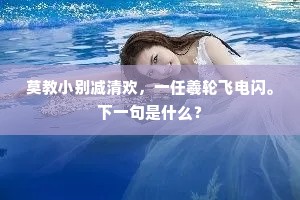 莫教小别减清欢，一任羲轮飞电闪。下一句是什么？