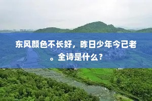 东风颜色不长好，昨日少年今已老。全诗是什么？