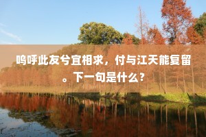 呜呼此友兮宜相求，付与江天能复留。下一句是什么？