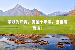 杀以为汗青，奚啻十年读。出自哪首诗？