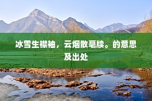 冰雪生襟袖，云烟散毫牍。的意思及出处