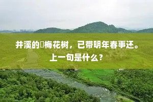 并溪的皪梅花树,已带明年春事还。上一句是什么? 并溪的皪梅花树,已带明年春事还。上一句是什么?