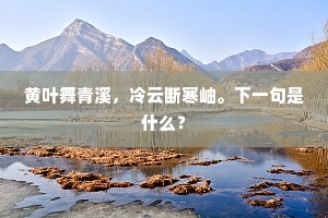 黄叶舞青溪，冷云断寒岫。下一句是什么？