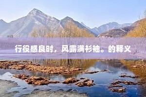 行役感良时，风露满衫袖。的释义
