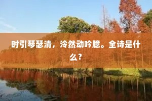 时引琴瑟清，泠然动吟臆。全诗是什么？