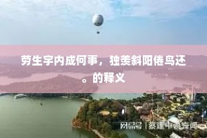劳生宇内成何事，独羡斜阳倦鸟还。的释义