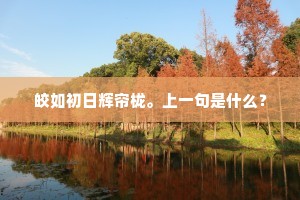皎如初日辉帘栊。上一句是什么？