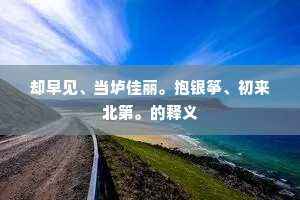 却早见、当垆佳丽。抱银筝、初来北第。的释义 却早见、当垆佳丽。抱银筝、初来北第。的释义