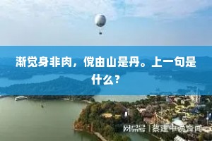 渐觉身非肉，傥由山是丹。上一句是什么？