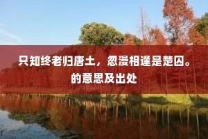 只知终老归唐土，忽漫相逢是楚囚。的意思及出处