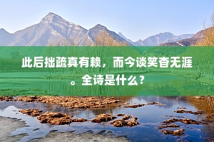 此后拙疏真有赖，而今谈笑杳无涯。全诗是什么？