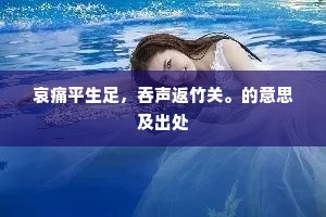 哀痛平生足，吞声返竹关。的意思及出处