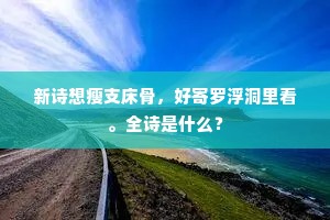 新诗想瘦支床骨，好寄罗浮洞里看。全诗是什么？