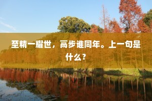 至精一耀世，高步谁同年。上一句是什么？
