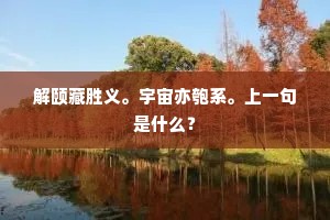 解颐藏胜义。宇宙亦匏系。上一句是什么？