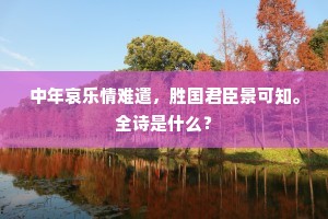 中年哀乐情难遣，胜国君臣景可知。全诗是什么？
