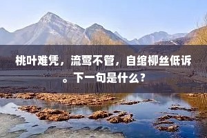 桃叶难凭，流莺不管，自绾柳丝低诉。下一句是什么？