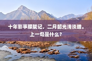 十年影事朦胧记,二月韶光浅淡增。上一句是什么? 十年影事朦胧记,二月韶光浅淡增。上一句是什么?