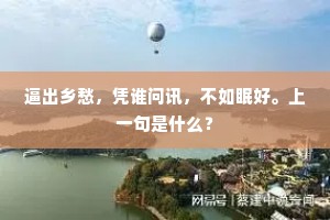 逼出乡愁，凭谁问讯，不如眠好。上一句是什么？