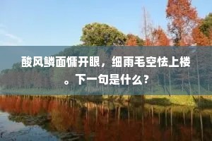 酸风鳞面慵开眼，细雨毛空怯上楼。下一句是什么？