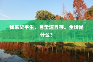 我来契平生，目击道自存。全诗是什么？