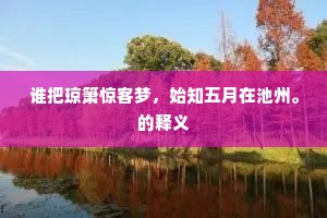 谁把琼箫惊客梦，始知五月在池州。的释义