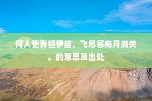 何人更弄桓伊笛，飞尽寒梅月满关。的意思及出处
