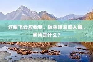 过眼飞云应我笑，隔林啼鸟向人留。全诗是什么？