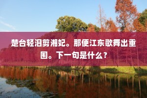 楚台轻泪剪湘妃。那便江东歌舞出重围。下一句是什么？