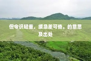 但令识轻重，缓急差可倚。的意思及出处