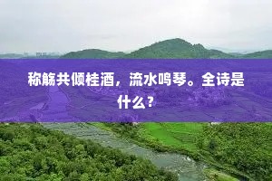 称觞共倾桂酒，流水鸣琴。全诗是什么？