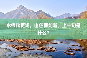 水痕秋更浅，山色雨如新。上一句是什么？
