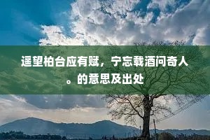 遥望柏台应有赋，宁忘载酒问奇人。的意思及出处