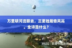 万里明河流眼去，三更独雁倚风高。全诗是什么？
