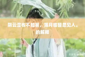 阴云湿栋不知暑，落月临窗忽见人。的解释