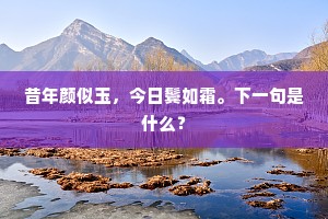 昔年颜似玉，今日鬓如霜。下一句是什么？