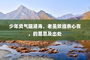 少年负气隘湖海，老虽敛缩余心在，的意思及出处